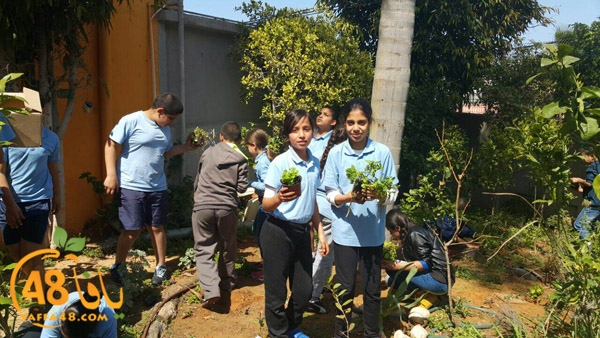 a3mal tayeba 7san3arafa (1).JPG